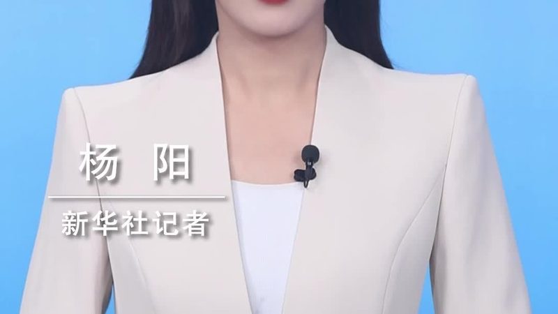 企业数据安全解决方案品牌排行榜